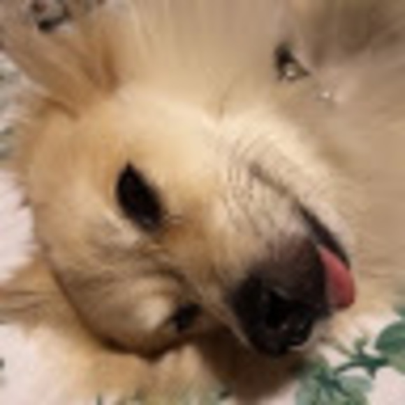 Meet your Posher, Heather - Picture 1 of 1